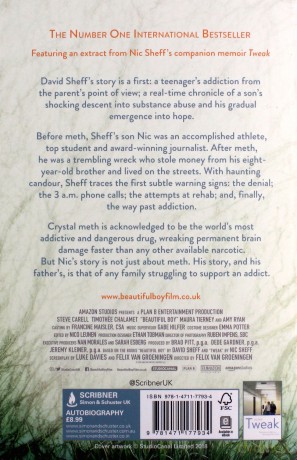 Beautiful Boy: A Father's Journey Through His Son's Addiction - David Sheff [KSIĄŻKA]