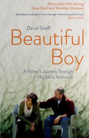 Beautiful Boy: A Father's Journey Through His Son's Addiction - David Sheff [KSIĄŻKA]