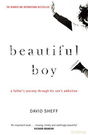 Beautiful Boy: A Father's Journey Through His Son's Addiction - David Sheff [KSIĄŻKA]