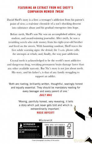 Beautiful Boy: A Father's Journey Through His Son's Addiction - David Sheff [KSIĄŻKA]