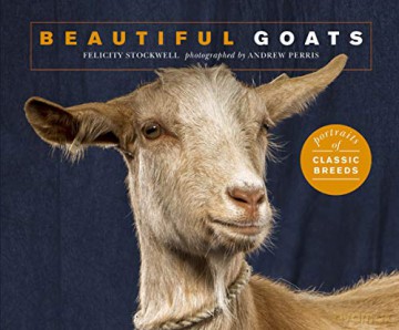 Beautiful Goats: Portraits of champion breeds (Beautiful Animals) - Felicity Stockwell [KSIĄŻKA]