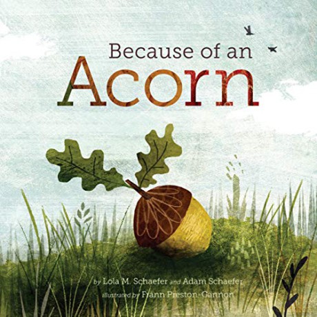 Because of an Acorn: (Nature Autumn Books for Children, Picture Books about Acorn Trees) - Lola M. Schaefer [KSIĄŻKA]