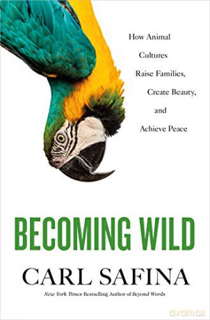 Becoming Wild: How Animal Cultures Raise Families, Create Beauty, and Achieve Peace - Carl Safina [KSIĄŻKA]