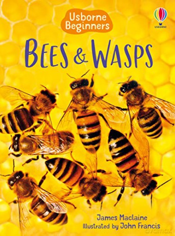 Bees and Wasps (Beginners) - James Maclaine [KSIĄŻKA]