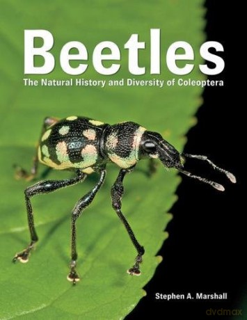 Beetles: The Natural History and Diversity of Coleoptera - Stephen A. Marshall [KSIĄŻKA]