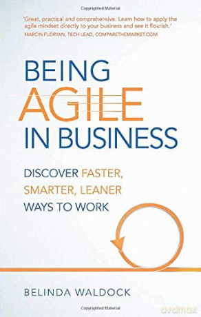 Being Agile in Business:Discover faster, smarter, leaner ways to work: Discover faster, smarter, leaner ways to work - Belinda Waldock [KSIĄŻKA]