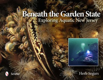 Beneath the Garden State: Exploring Aquatic New Jersey - Herb Segars [KSIĄŻKA]