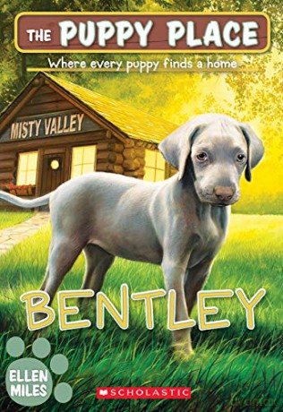 Bentley (the Puppy Place #53), 53 - Ellen Miles [KSIĄŻKA]