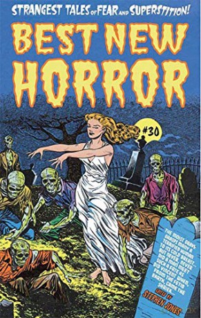 Best New Horror #30 [Trade Paperback] - Stephen Jones [KSIĄŻKA]