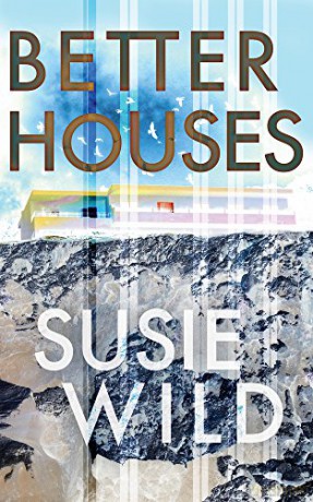 Better Houses - Susie Wild [KSIĄŻKA]