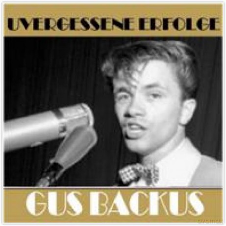 Unvergessene Erfolge [CD]