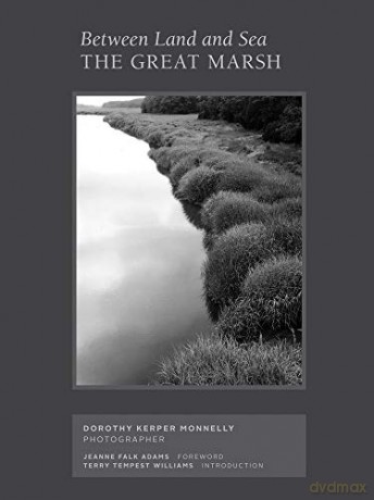 Between Land and Sea: The Great Marsh: Photographs by Dorothy Kerper Monnelly - Dorothy Kerper Monnelly [KSIĄŻKA]