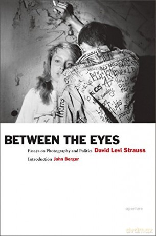 Between the Eyes: Essays on Photography and Politics - David Levi Strauss [KSIĄŻKA]