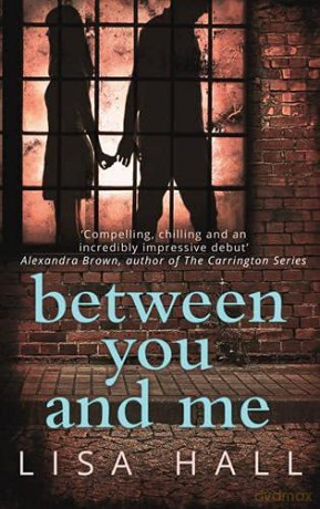 Between You and Me: A psychological thriller with a twist you won't see coming - Lisa Hall [KSIĄŻKA]