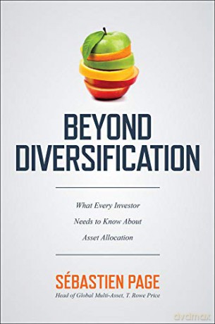 Beyond Diversification: What Every Investor Needs to Know About Asset Allocation (BUSINESS BOOKS) - Sebastien Page [KSIĄŻKA]