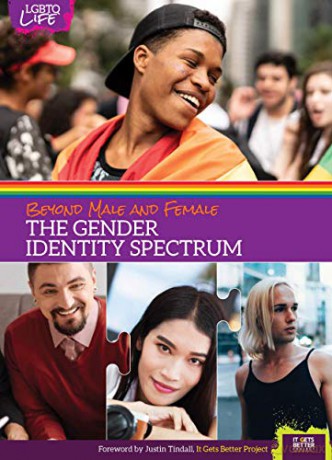 Beyond Male and Female: The Gender Identity Spectrum (LGBTQ Life) - Anita R Walker [KSIĄŻKA]