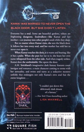 Beyond the Black Door - A M Strickland [KSIĄŻKA]