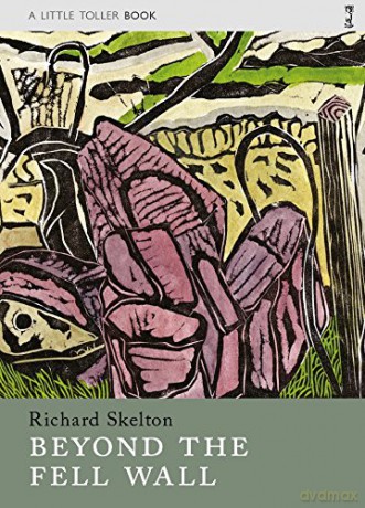 Beyond the Fell Wall (Little Toller Monographs) - Richard Skelton [KSIĄŻKA]