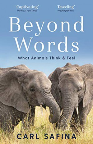 Beyond Words: What Animals Think and Feel - Carl Safina [KSIĄŻKA]