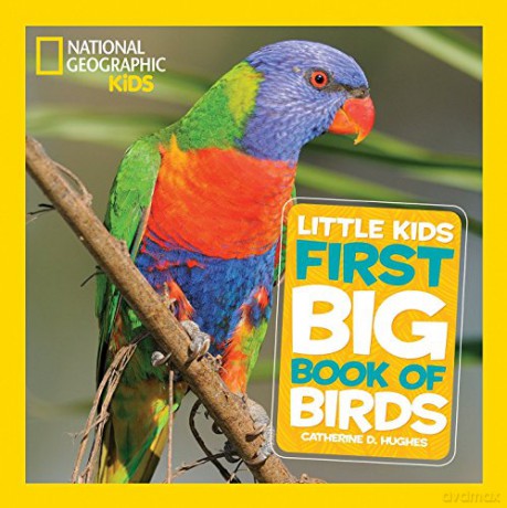 Big Book Of Birds (National Geographic Kids) [KSIĄŻKA]