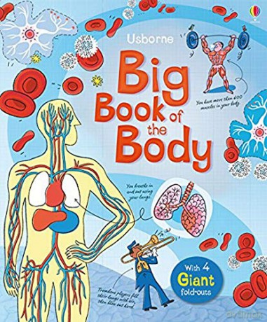 Big Book of the Body (Big Books): 1 - Minna Lacey [KSIĄŻKA]