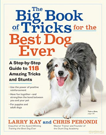 Big Book of Tricks for the Best Dog Ever, The: A Step-by-Step Guide to 118 Amazing Tricks and Stunts - Larry Kay [KSIĄŻKA]