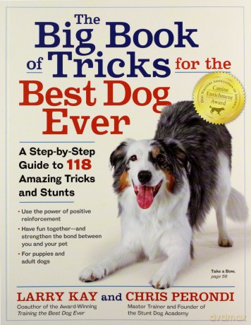 Big Book of Tricks for the Best Dog Ever, The: A Step-by-Step Guide to 118 Amazing Tricks and Stunts - Larry Kay [KSIĄŻKA]