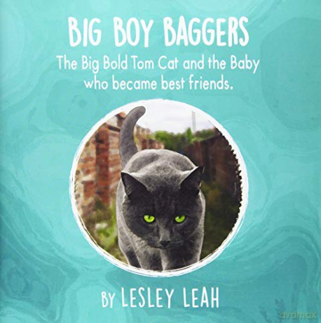 Big Boy Baggers: The Big Bold Tom Cat and the Baby Who Became Best Friends - Lesley Leah [KSIĄŻKA]