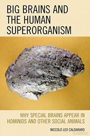 Big Brains and the Human Superorganism: Why Special Brains Appear in Hominids and Other Social Animals - Niccolo Caldararo [KSIĄŻKA]
