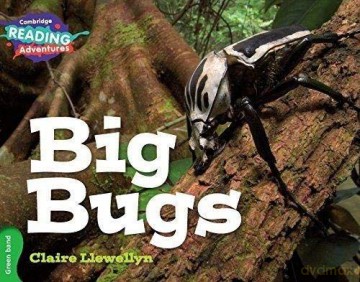 Big Bugs Green Band (Cambridge Reading Adventures) - Claire Llewellyn [KSIĄŻKA]