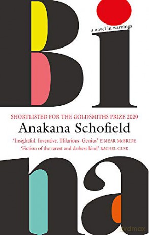 Bina - Anakana Schofield [KSIĄŻKA]