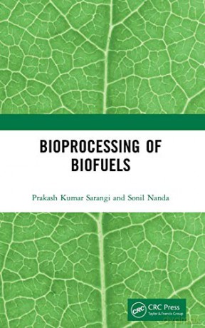 Bioprocessing of Biofuels - Sonil Nanda [KSIĄŻKA]
