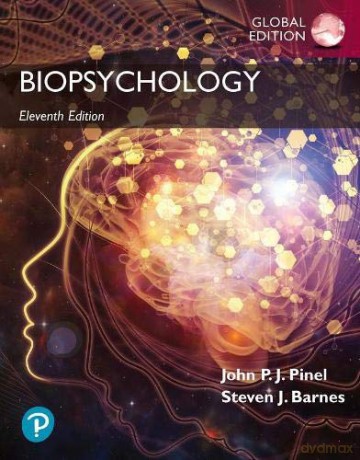 Biopsychology, Global Edition - Steven Barnes [KSIĄŻKA]