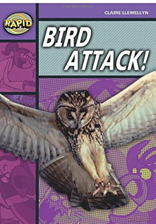 Bird Attack!: Bird Attack! (Series 2) (RAPID SERIES 2) - Claire Llewellyn [KSIĄŻKA]