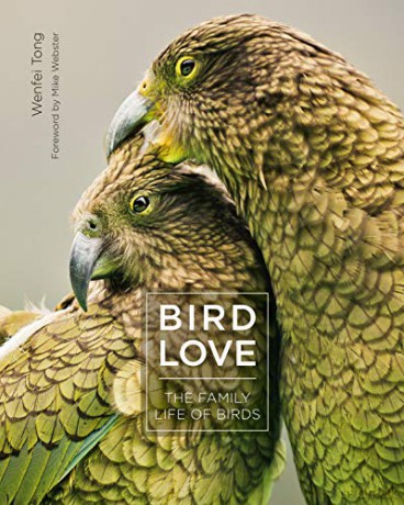 Bird Love: The Family Life of Birds - Wenfei Tong [KSIĄŻKA]