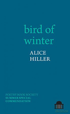 bird of winter (Pavilion Poetry) [KSIĄŻKA]