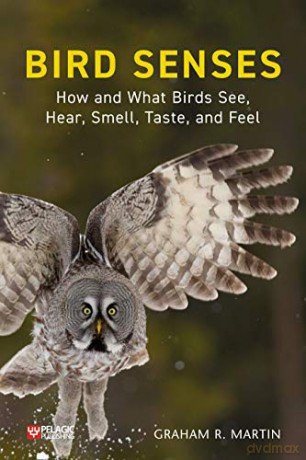 Bird Senses: How and What Birds See, Hear, Smell, Taste and Feel (Pelagic Monographs): How What Birds See, Hear - Graham R. Martin [KSIĄŻKA]