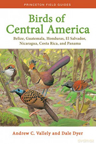 Birds of Central America: Belize, Guatemala, Honduras, El Salvador, Nicaragua, Costa Rica, and Panama (Princeton Field Guides, 136) - Andrew Vallely [KSIĄŻKA]