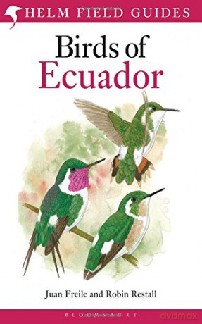 Birds of Ecuador (Helm Field Guides) - Robin Restall [KSIĄŻKA]