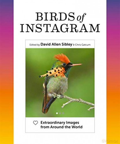 Birds of Instagram: Extraordinary Images from Around the World - David Allen Sibley [KSIĄŻKA]
