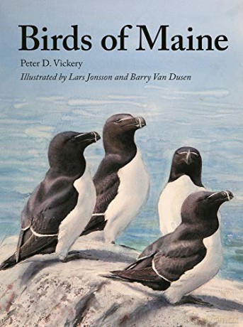 Birds of Maine - Peter Vickery [KSIĄŻKA]
