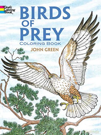 Birds of Prey Coloring Book (Dover Nature Coloring Book) - John Green [KSIĄŻKA]