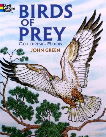 Birds of Prey Coloring Book (Dover Nature Coloring Book) - John Green [KSIĄŻKA]