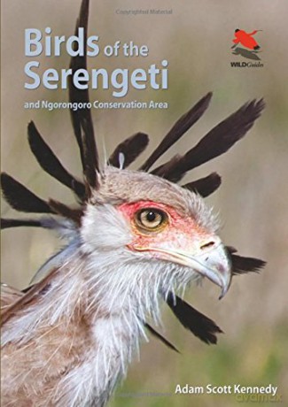 Birds of the Serengeti: And Ngorongoro Conservation Area (WILDGuides) - Adam Scott Kennedy [KSIĄŻKA]