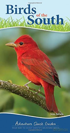 Birds of the South: Your Way to Easily Identify Backyard Birds (Adventure Quick Guides) - Stan Tekiela [KSIĄŻKA]