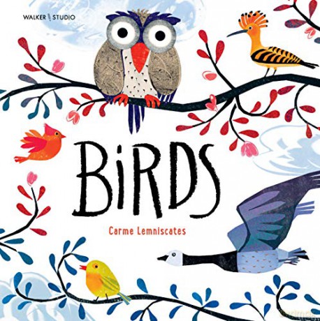 Birds: 1 - Carme Lemniscates [KSIĄŻKA]