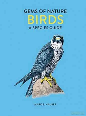 Birds: A Species Guide (Gems of Nature) - Mark E. Hauber [KSIĄŻKA]