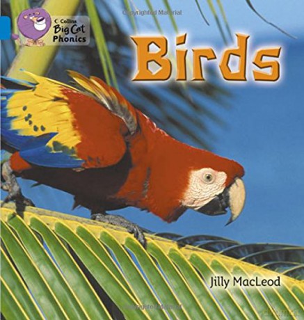 Birds: Introducing all manner of birds in this photographic book (Collins Big Cat Phonics) - Jilly McLeod [KSIĄŻKA]