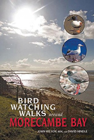 Birdwatching Walks Around Morecambe Bay - Reverend Dr John Wilson [KSIĄŻKA]