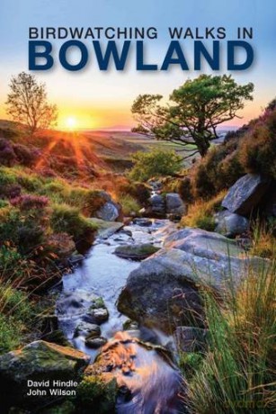Birdwatching Walks in Bowland - David Hindle [KSIĄŻKA]